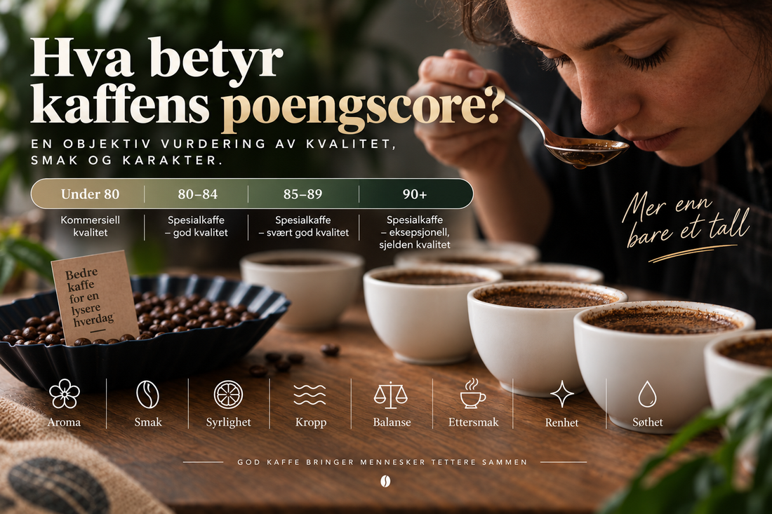 Hva betyr kaffens poengscore? Infografikk som viser scoreskalaen fra under 80 til 90+ poeng
