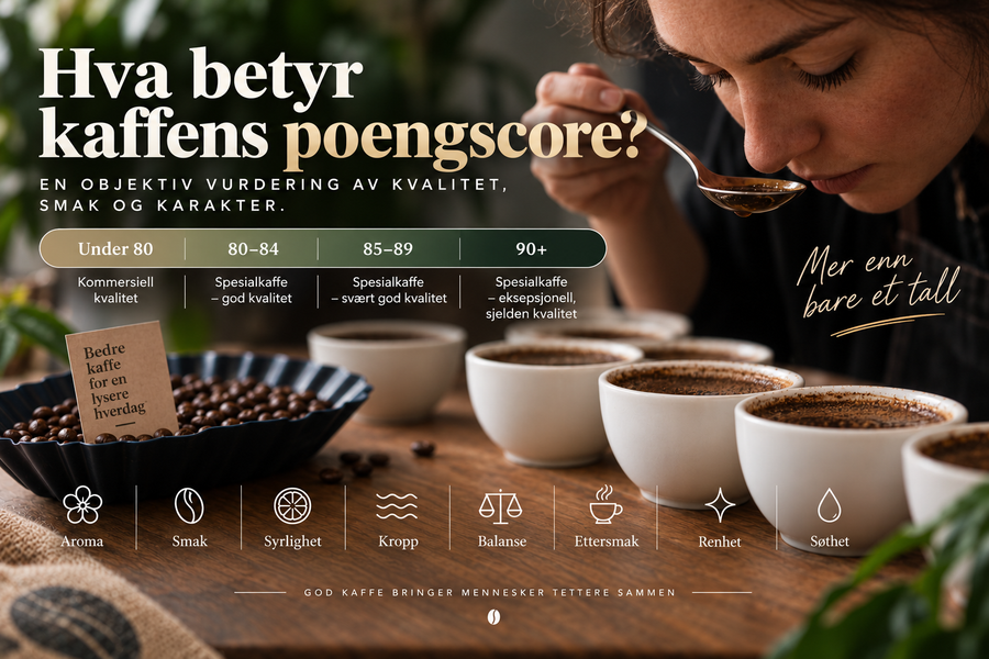Hva betyr kaffens poengscore? Infografikk som viser scoreskalaen fra under 80 til 90+ poeng